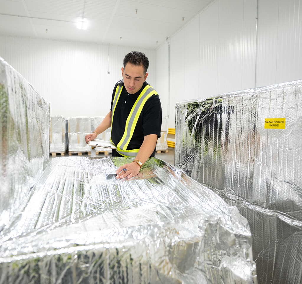 Man checks label on temperature controlled freight shipment