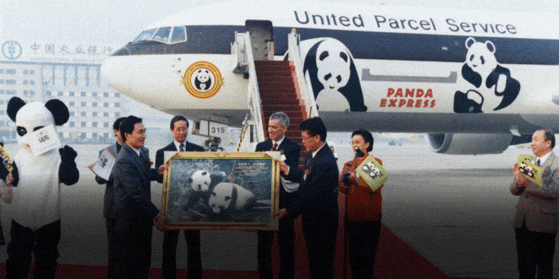 A United Parcel Service (UPS) cargo plane, branded as 'Panda Express,' is parked on a tarmac with a group of people holding a framed panda image during a ceremonial event. The plane features panda-themed visuals, including a large panda graphic and the text 'Panda Express.' The setting appears to be an airport with a red carpet and formal attire, suggesting an official or celebratory occasion.