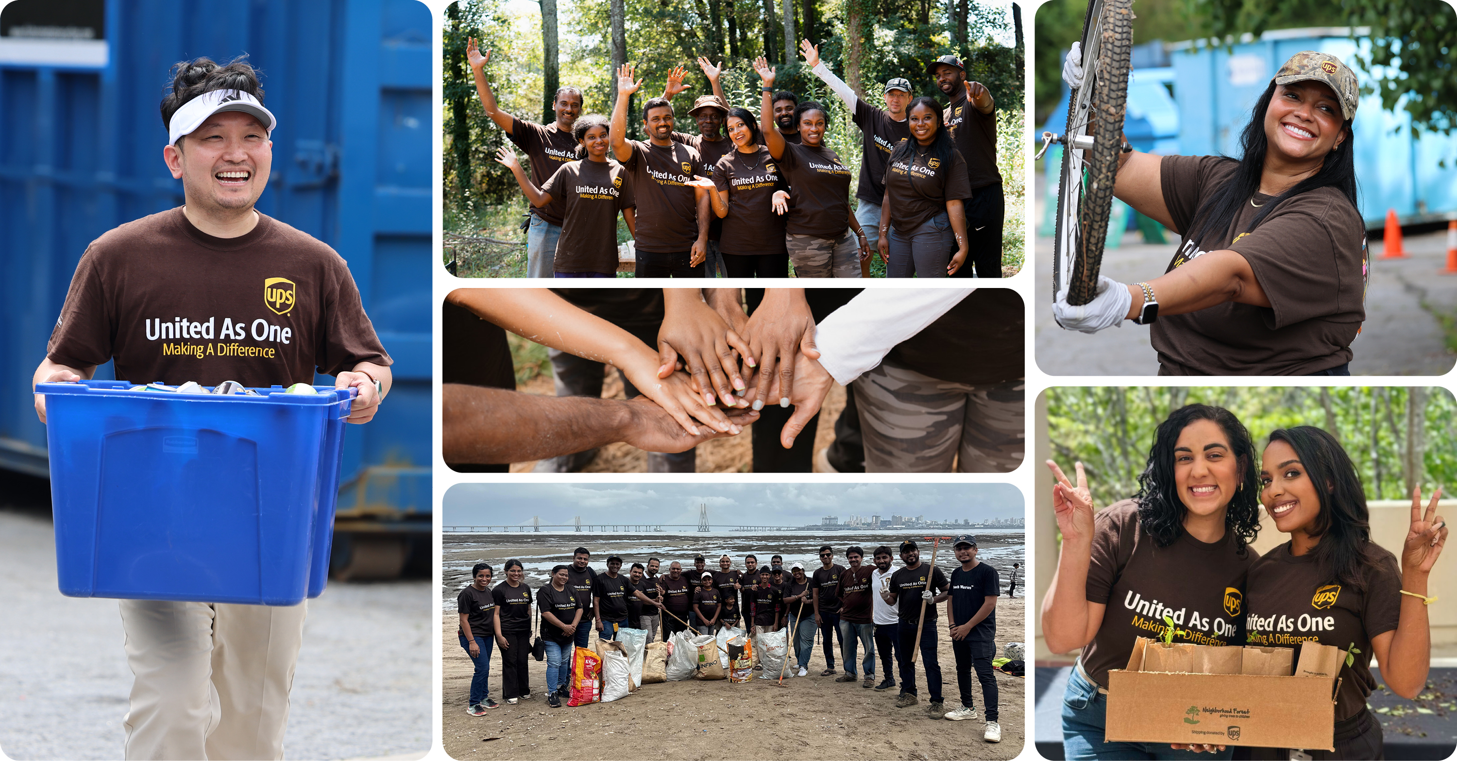 Volunteers in Brown Shirts Participate in Community Cleanup