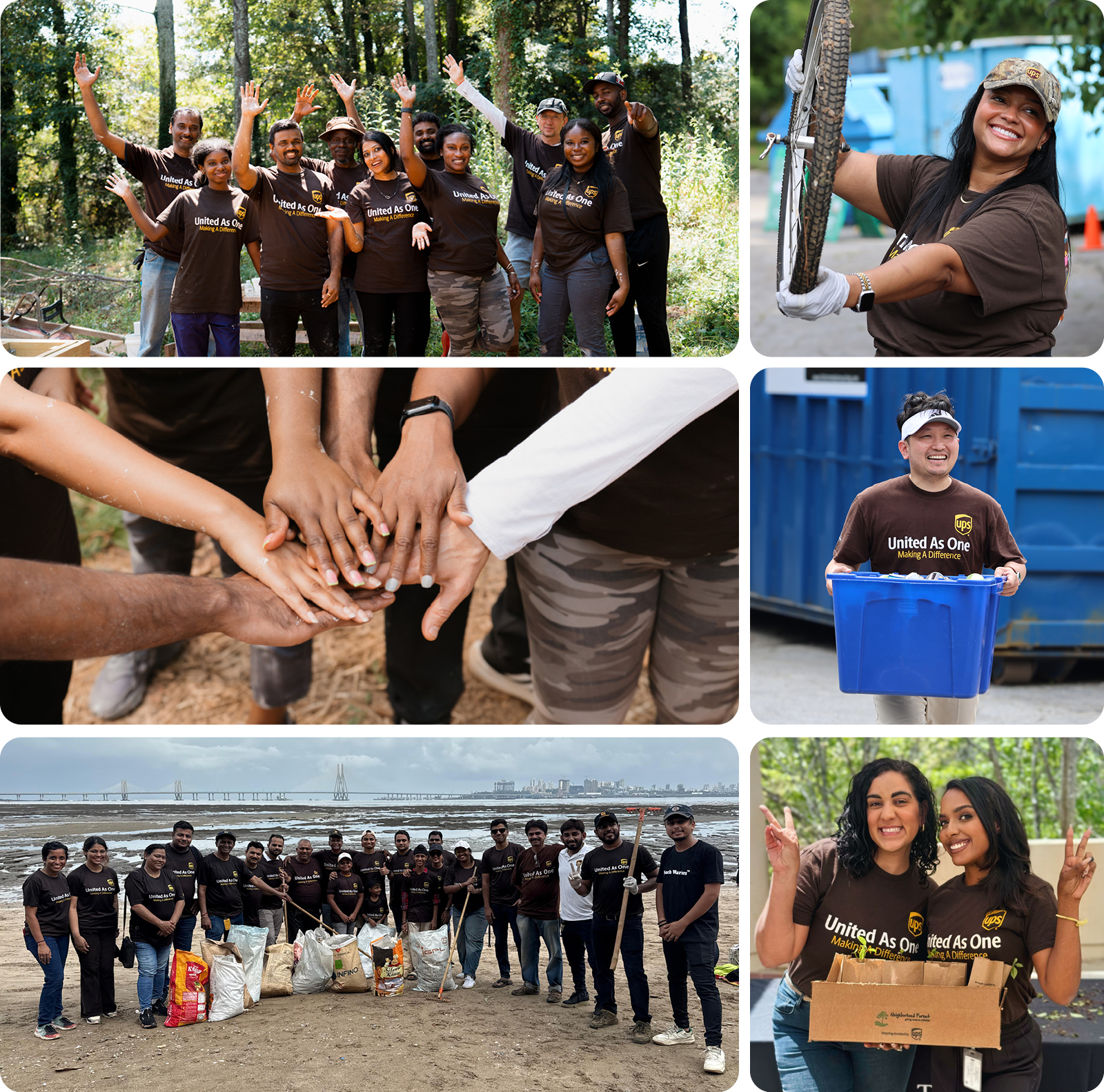 Volunteers in Brown Shirts Participate in Community Cleanup