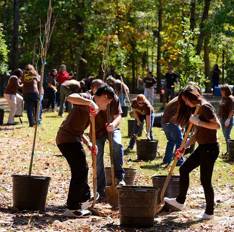 A group of UPS people planting trees in a wooded area, working with shovels and young saplings in pots.